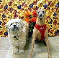 Max & Leo Thanks 10.jpg